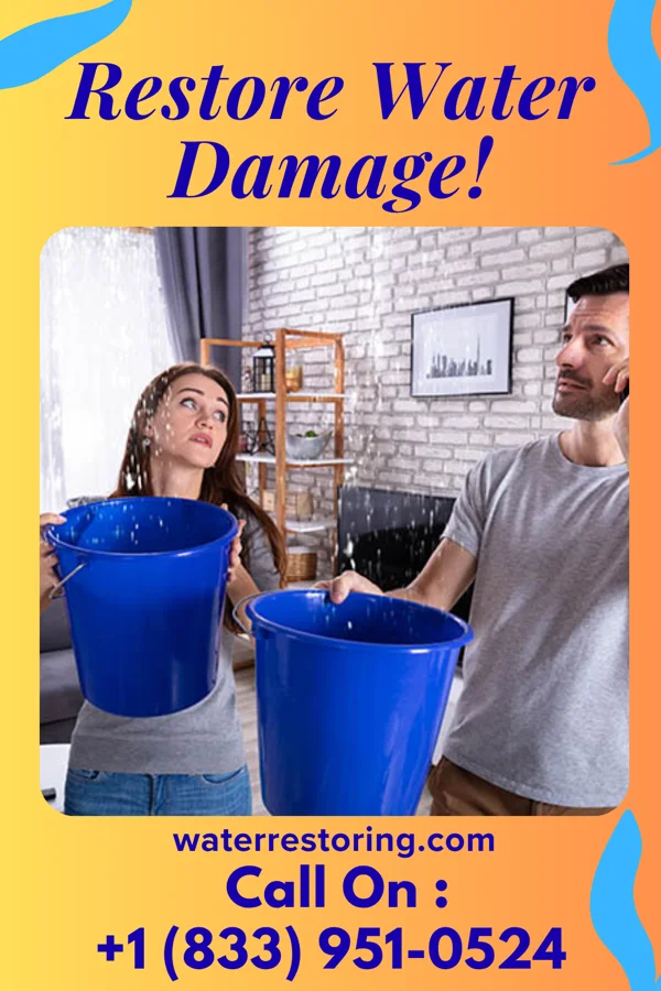 water restoration Rapid Drying Professionals Thornwood